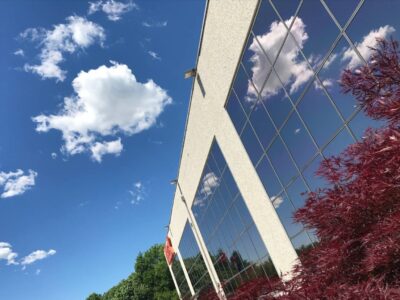 pellicole antisolari bronzo fumè