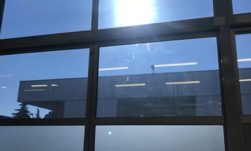 pellicole antisolari