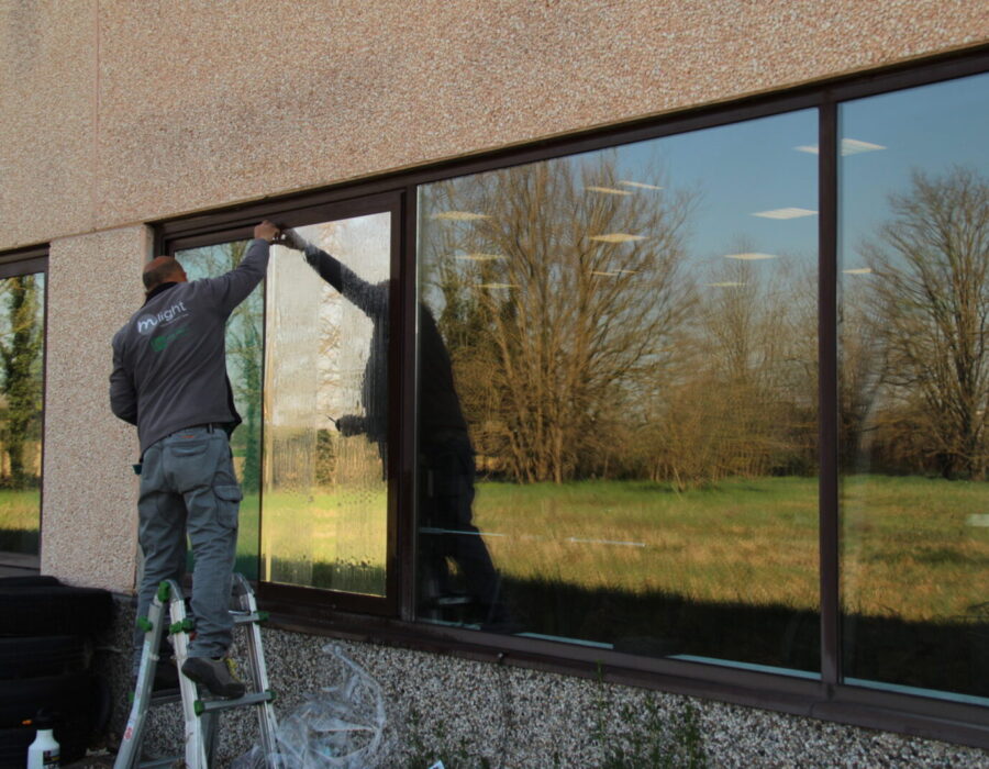 palestra free time pellicole antisolari dual reflective