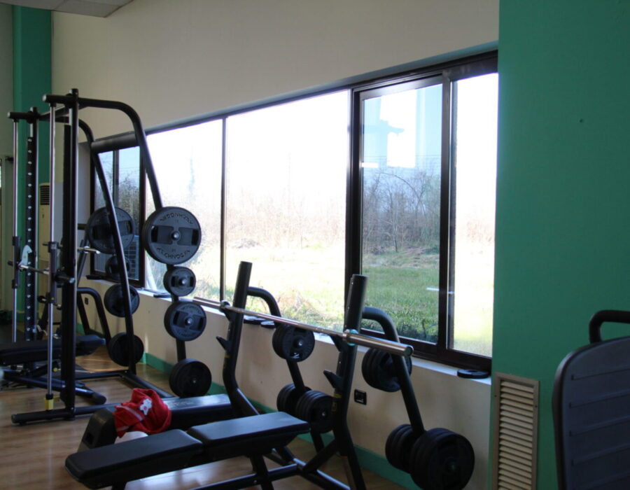 palestra free time pellicole antisolari dual reflective