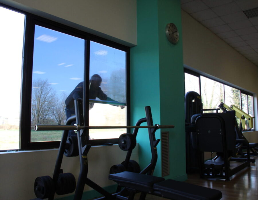 palestra free time pellicole antisolari dual reflective