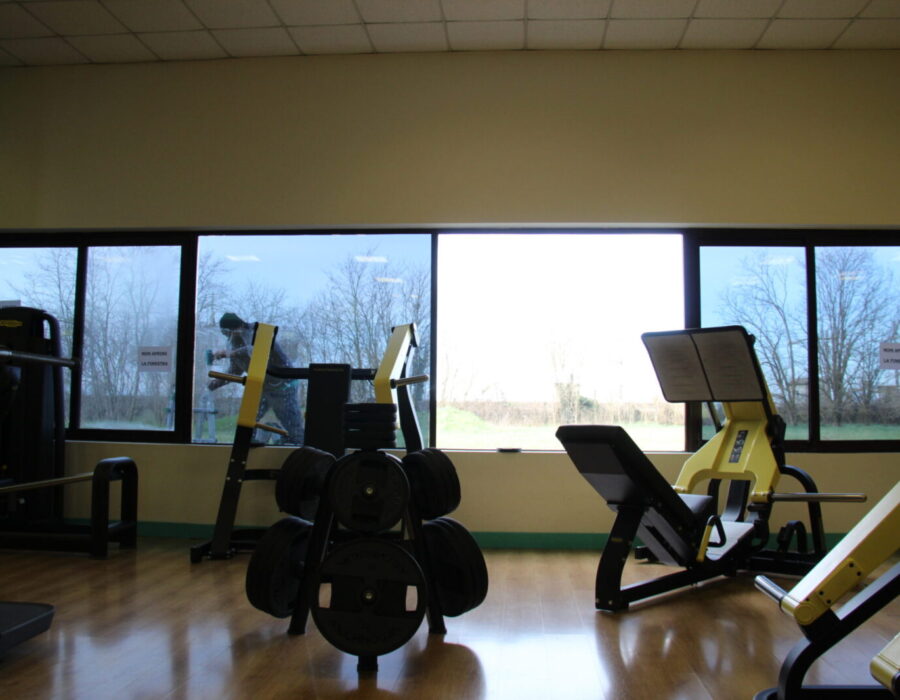 palestra free time pellicole antisolari dual reflective