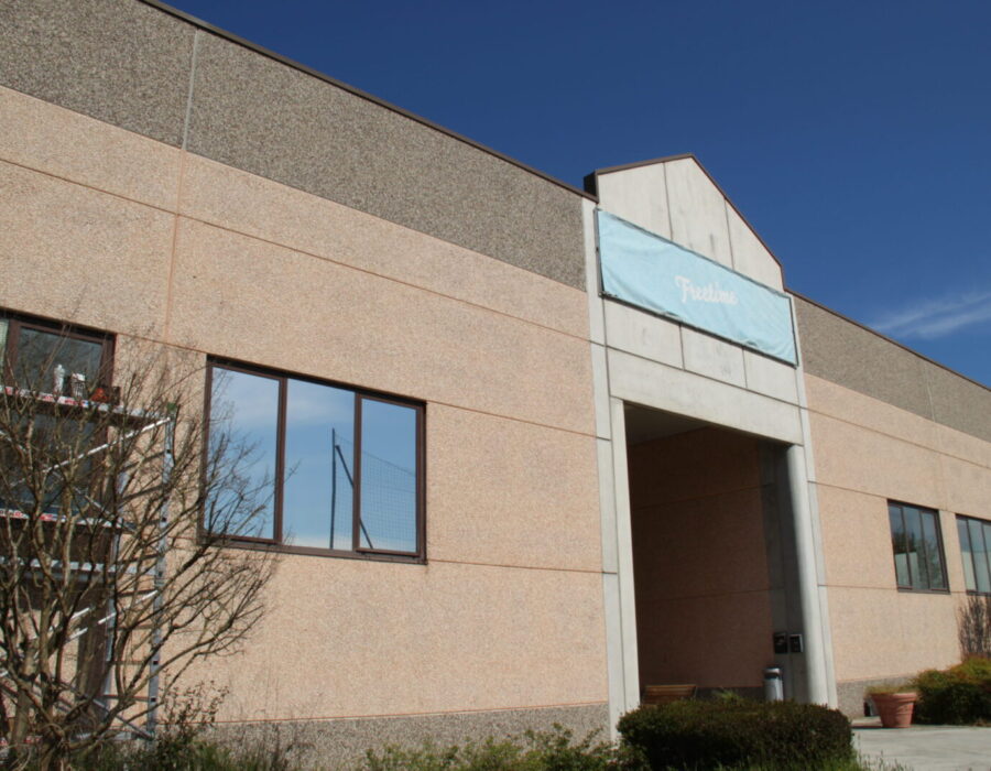 palestra free time pellicole antisolari dual reflective