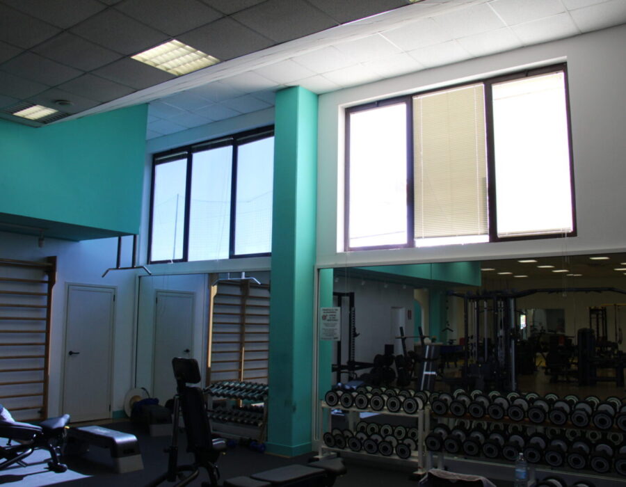 palestra free time pellicole antisolari dual reflective