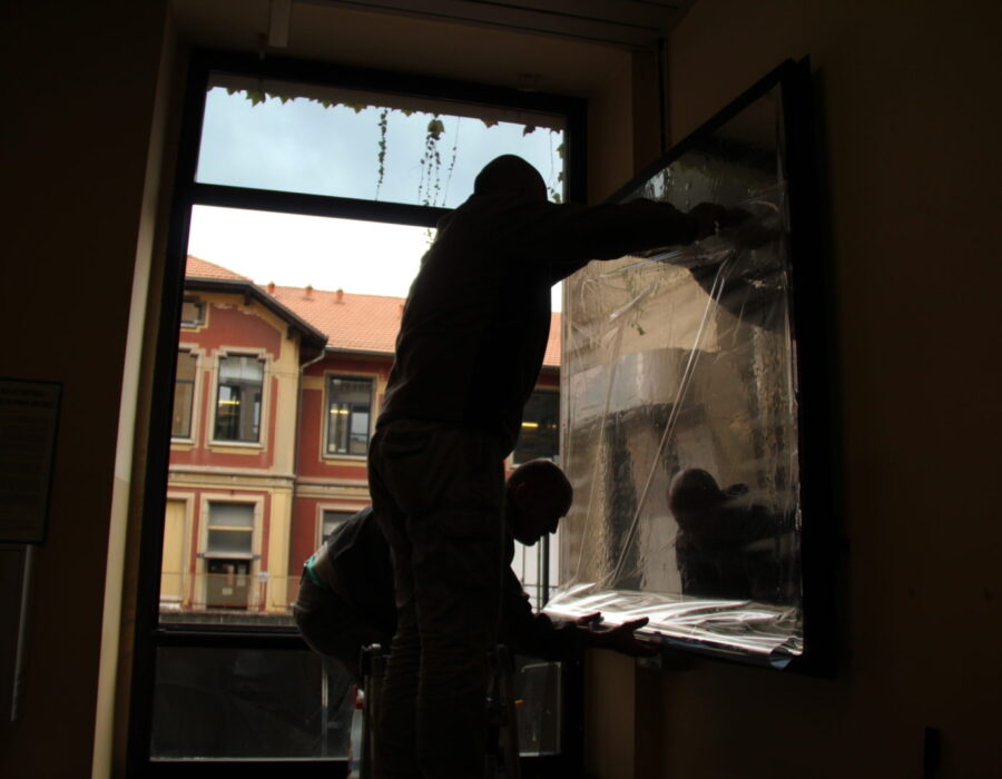 zooprofilattico pellicole antisoli silver 20