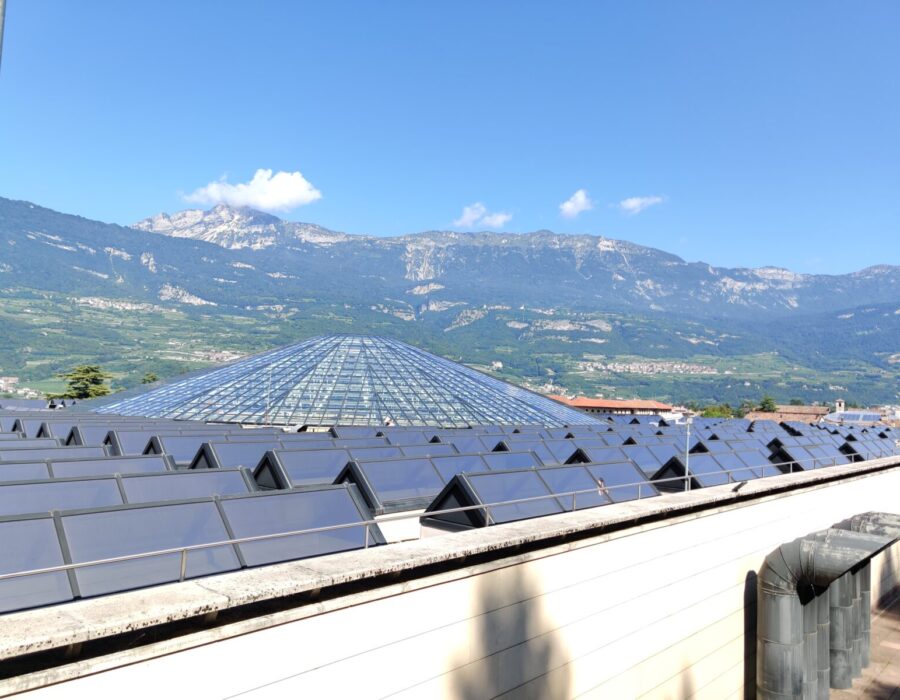 pellicole antisolari mlight mart