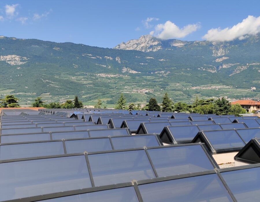 pellicole antisolari mlight mart