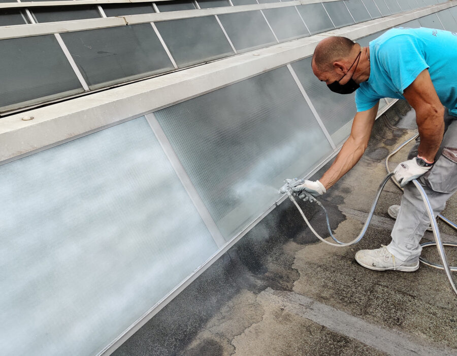 vernice lux vetro Nippon Express Express