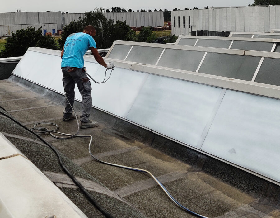 vernice lux vetro Nippon Express Express