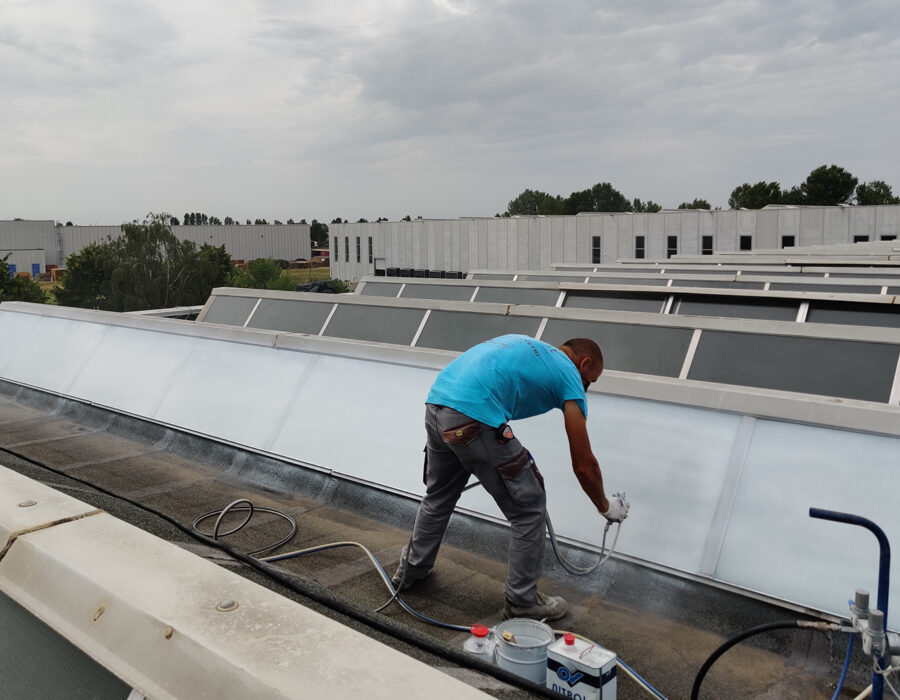 vernice lux vetro Nippon Express Express