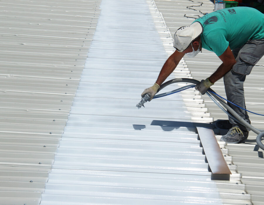 Vernice Policarbonato Af Legatoria