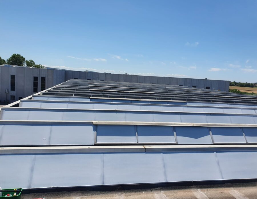 vernice lux vetro Nippon Express Express