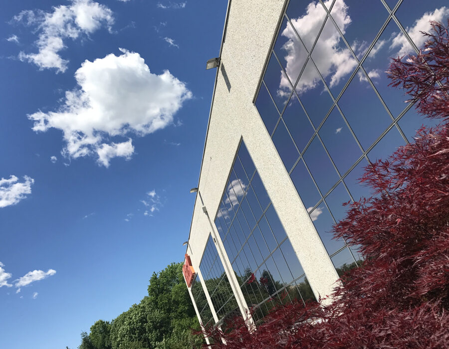 pellicole antisolari bronzo fumé mazak