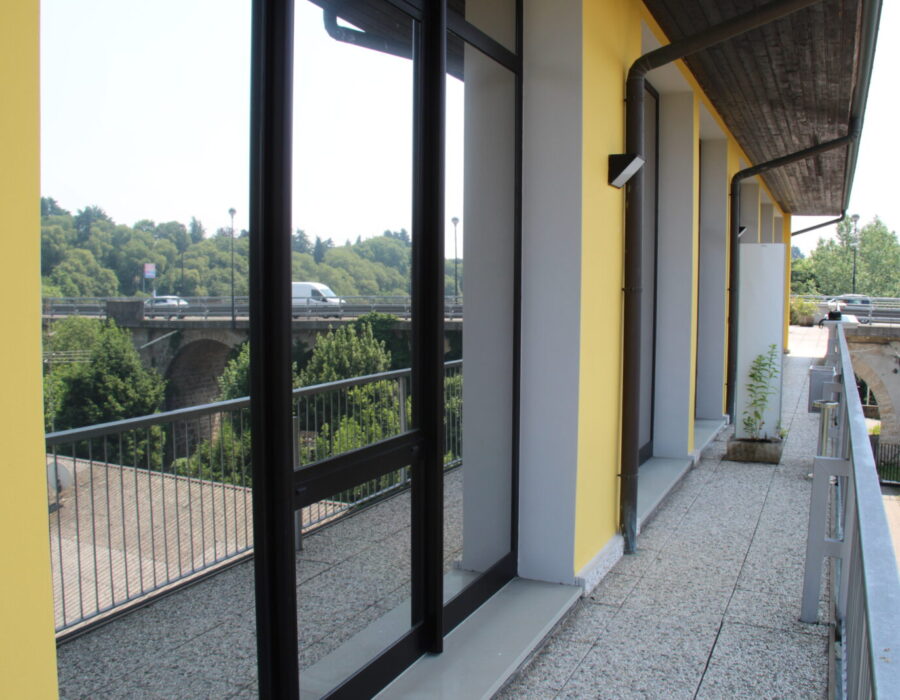 celsus centro medico pellicole antisolari dual reflective