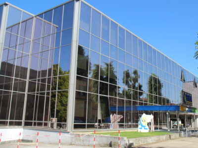 pellicole antisolari bronzo fume Egea