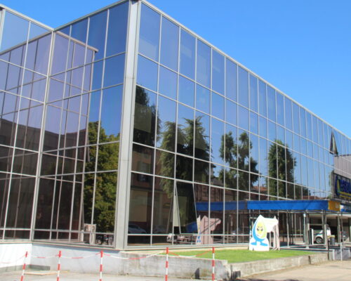 pellicole antisolari bronzo fume Egea