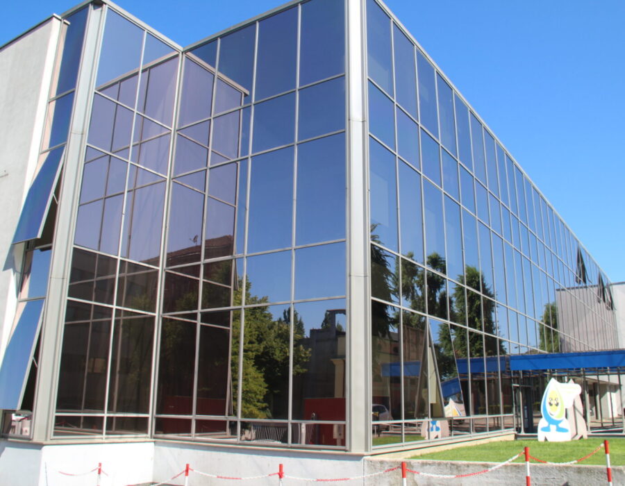 pellicole antisolari bronzo fume Egea