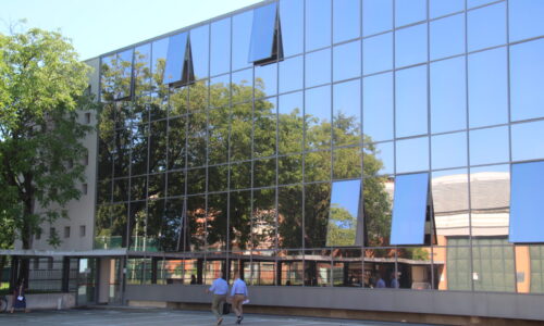 pellicole antisolari bronzo fume Egea