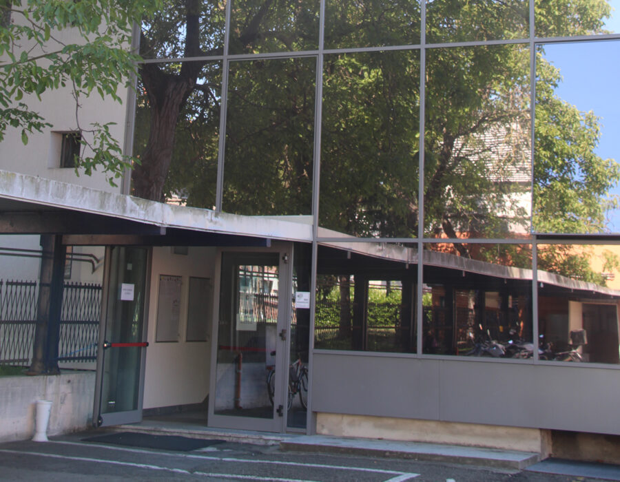 pellicole antisolari bronzo fume Egea