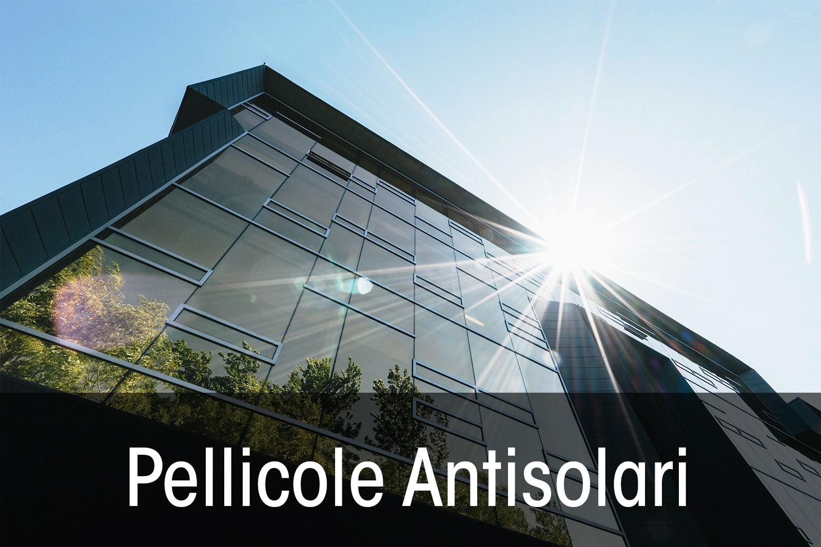 Mlight prodotti pellicole e vernice antisolare