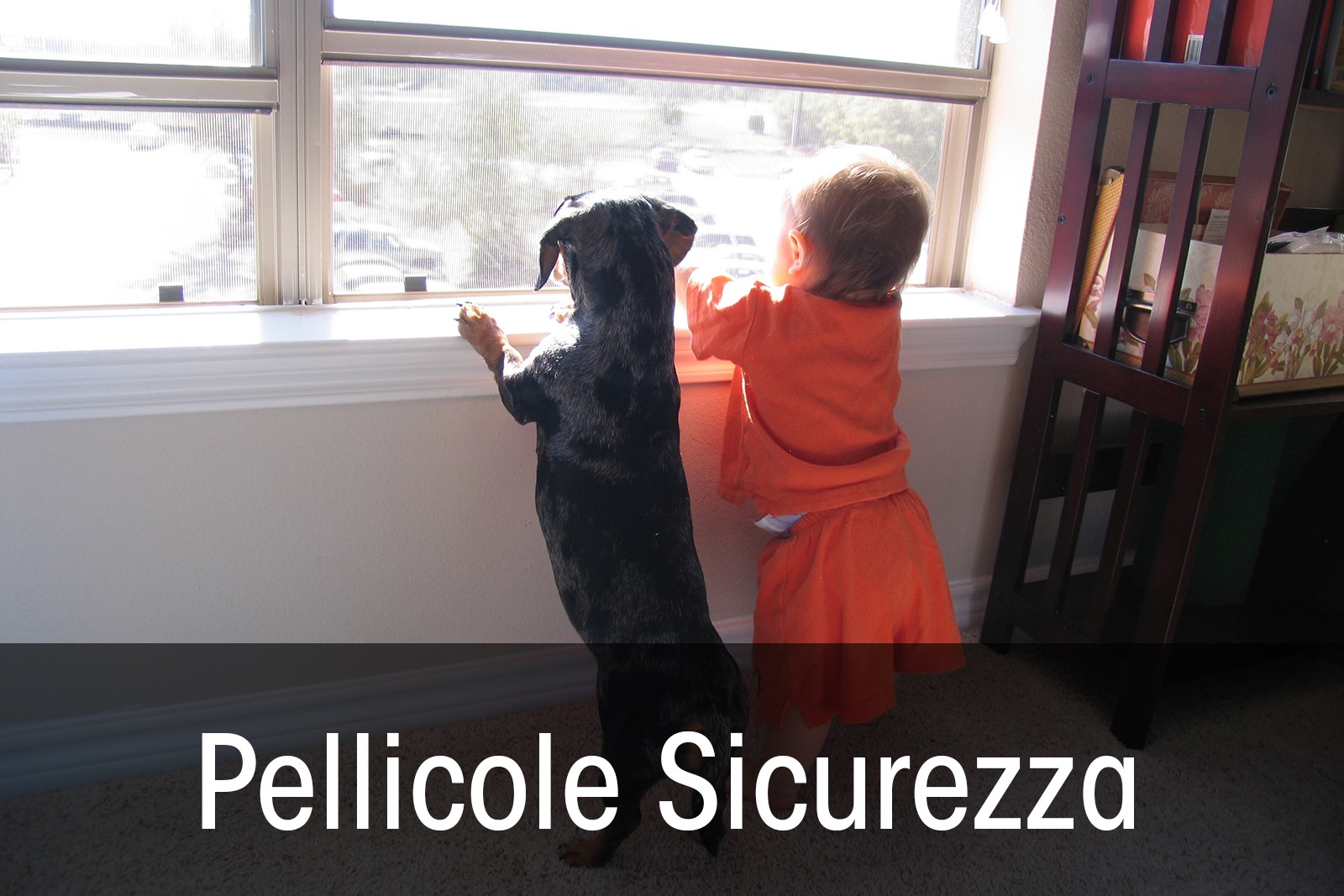 Progetti Mlight Pellicole per vetri